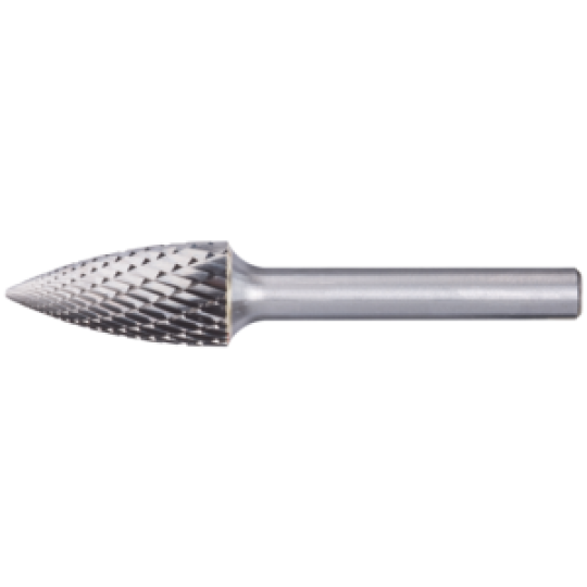 Pferd TC roto glodala