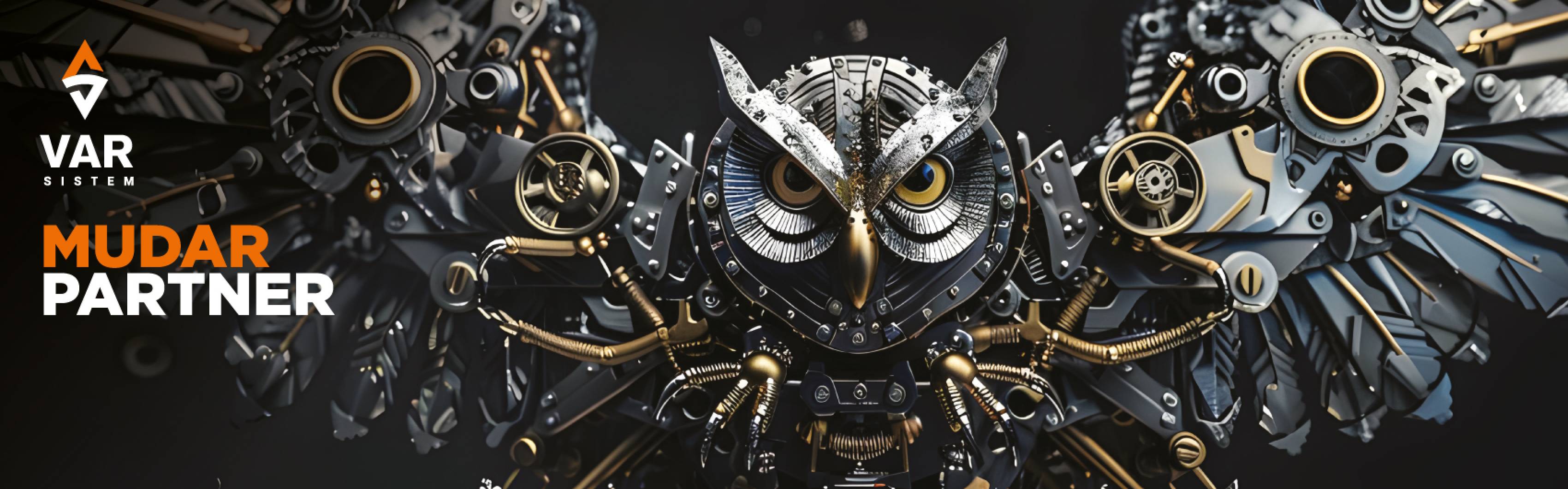 Var Sistem